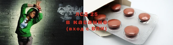 шишки Белоозёрский