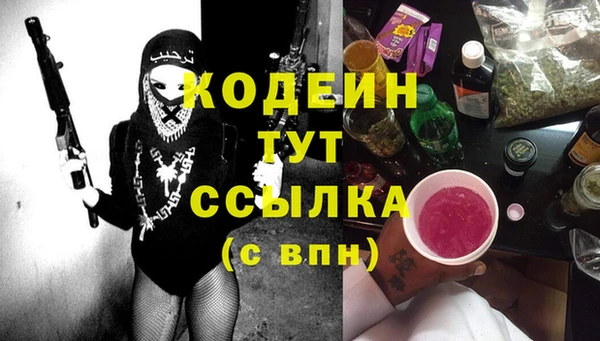 шишки Белоозёрский