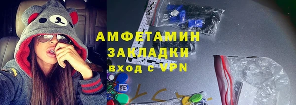 шишки Белоозёрский